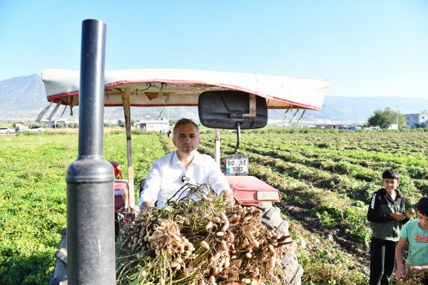 BAŞKAN ÇENET, CEKETİNİ ÇIKARTIP KOLLARI SIVADI, TRAKTÖRE BİNİP YER FISTIĞI HASADI YAPTI