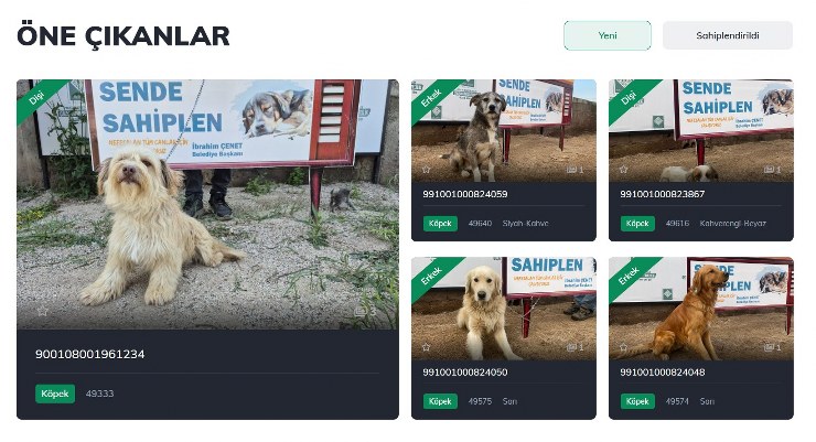 OSMANİYE BELEDİYESİ’NDEN SOKAK HAYVANLARI İÇİN DİJİTAL SAHİPLENDİRME PLATFORMU